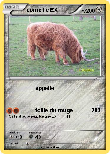 Pokemon corneille EX