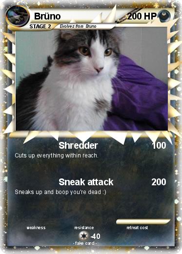 Pokemon Brüno