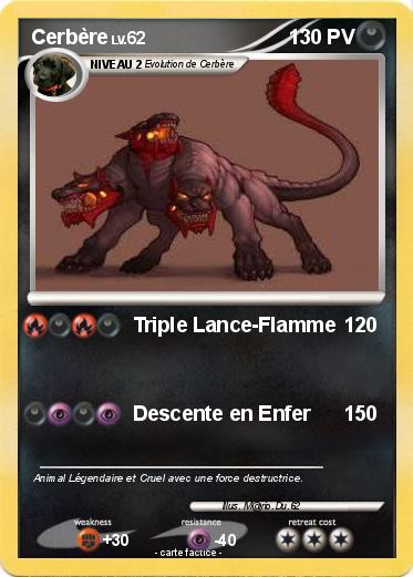 Pokemon Cerbère