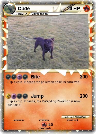 Pokemon Dude