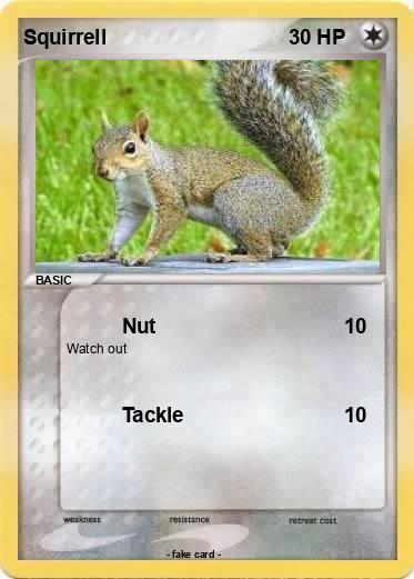 Pokemon Squirrell
