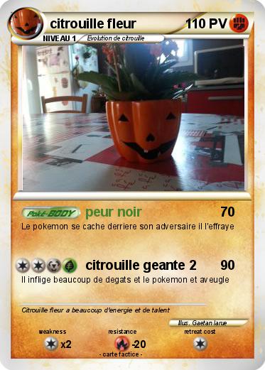Pokemon citrouille fleur
