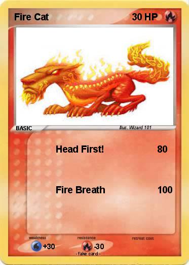 Pokemon Fire Cat