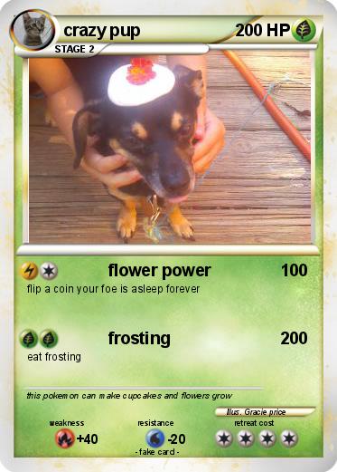 Pokemon crazy pup