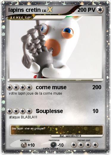 Pokemon lapins cretin