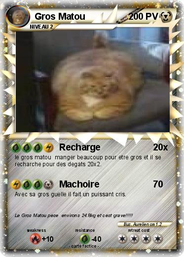 Pokemon Gros Matou