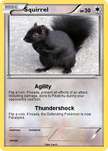 Pokemon Squirrel