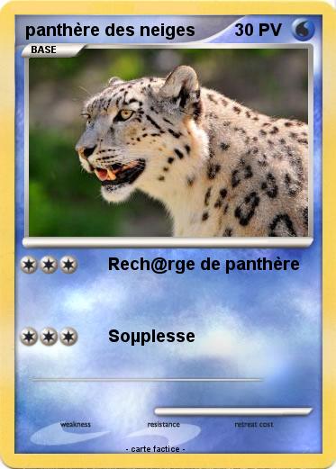 Pokemon panthère des neiges