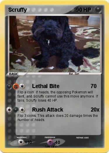 Pokemon Scruffy