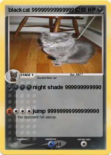 Pokemon blackcat 999999999999999