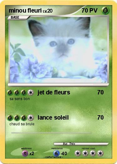 Pokemon minou fleuri