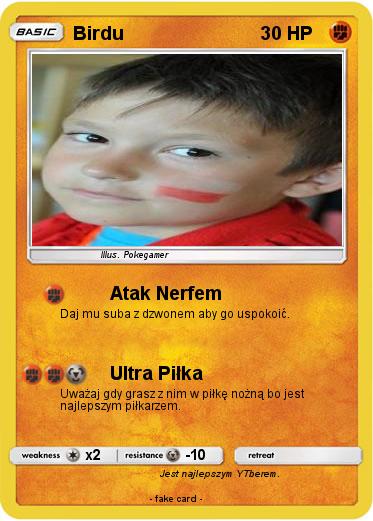 Pokemon Birdu