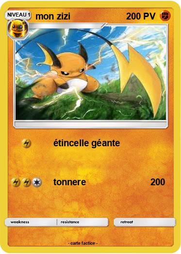 Pokemon mon zizi