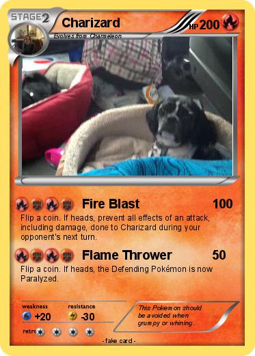 Pokemon Charizard