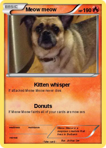 Pokemon Meow meow