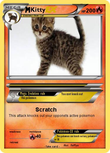 Pokemon Kitty
