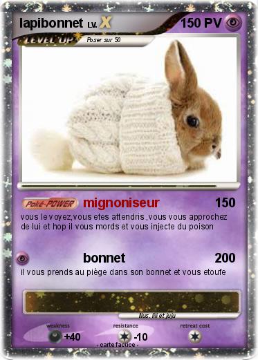 Pokemon lapibonnet