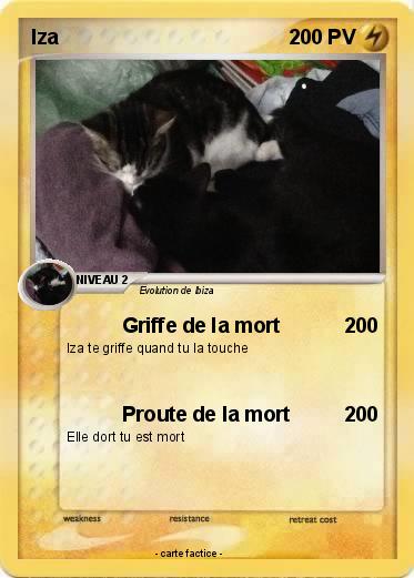 Pokemon Iza