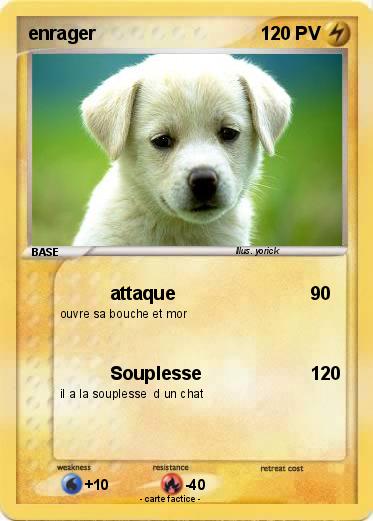 Pokemon enrager