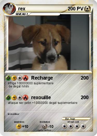 Pokemon rex