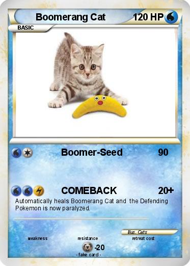 Pokemon Boomerang Cat