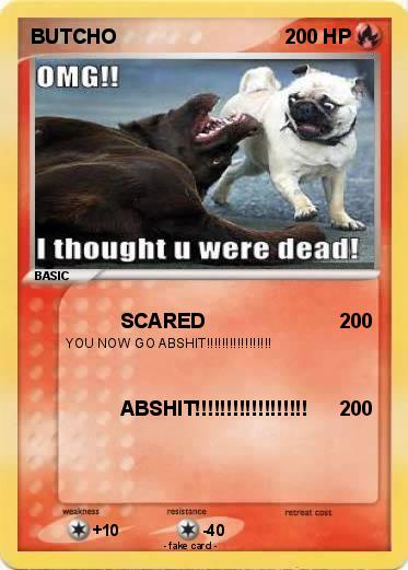 Pokemon BUTCHO
