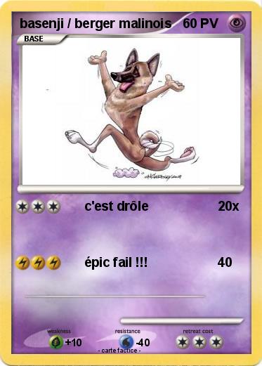Pokemon basenji / berger malinois