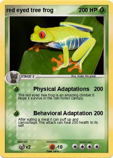 Pokemon red eyed tree frog
