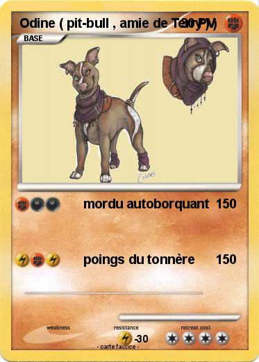 Pokemon Odine ( pit-bull , amie de Terry ) )