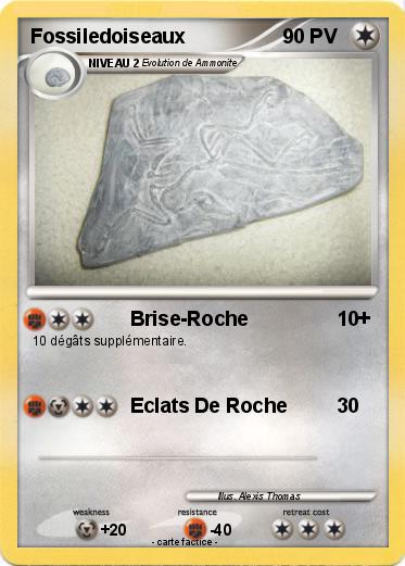 Pokemon Fossiledoiseaux