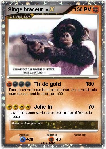 Pokemon Singe braceur