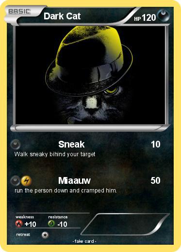 Pokemon Dark Cat
