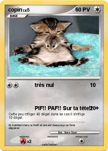 Pokemon copin