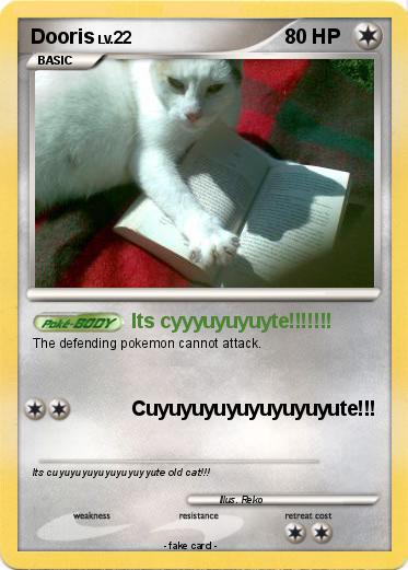 Pokemon Dooris