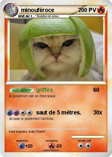 Pokemon minouféroce