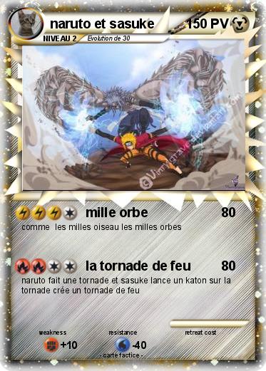 Pokemon naruto et sasuke