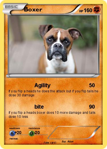 Pokemon Boxer