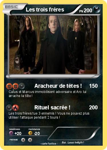 Pokemon Les trois frères