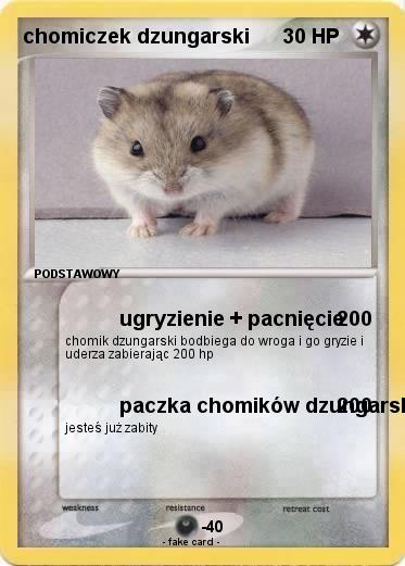 Pokemon chomiczek dzungarski