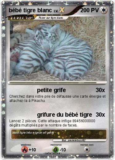 Pokemon bébé tigre blanc