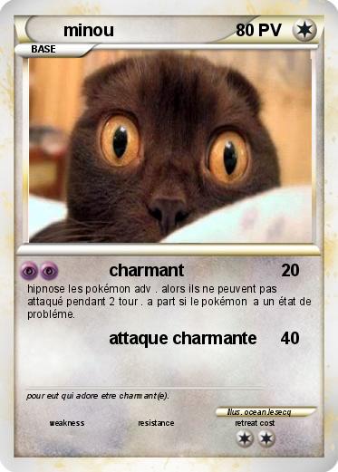 Pokemon minou