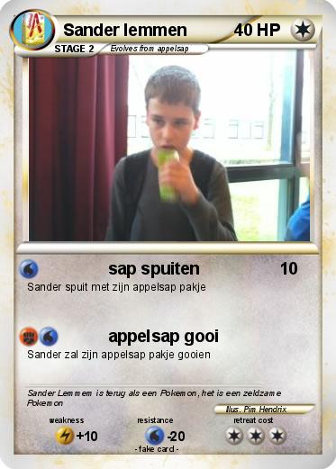 Pokemon Sander lemmen
