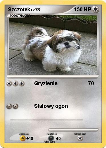 Pokemon Szczotek
