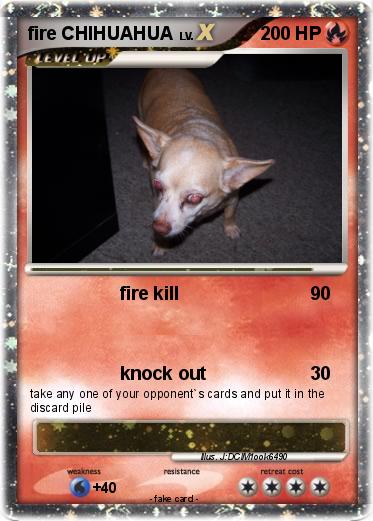 Pokemon fire CHIHUAHUA