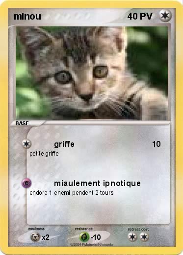 Pokemon minou