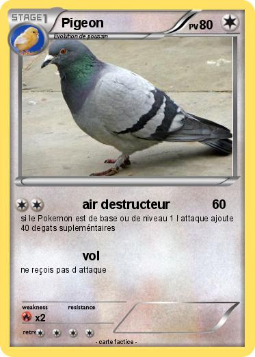 Pokemon Pigeon