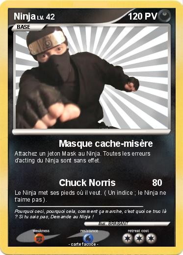 Pokemon Ninja