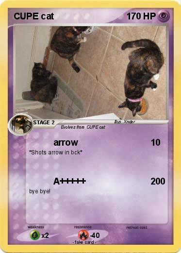 Pokemon CUPE cat