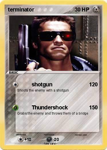 Pokemon terminator