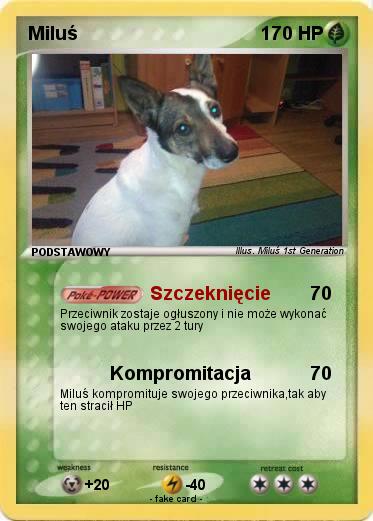 Pokemon Miluś
